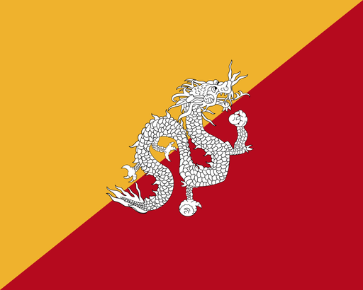 UAE flag